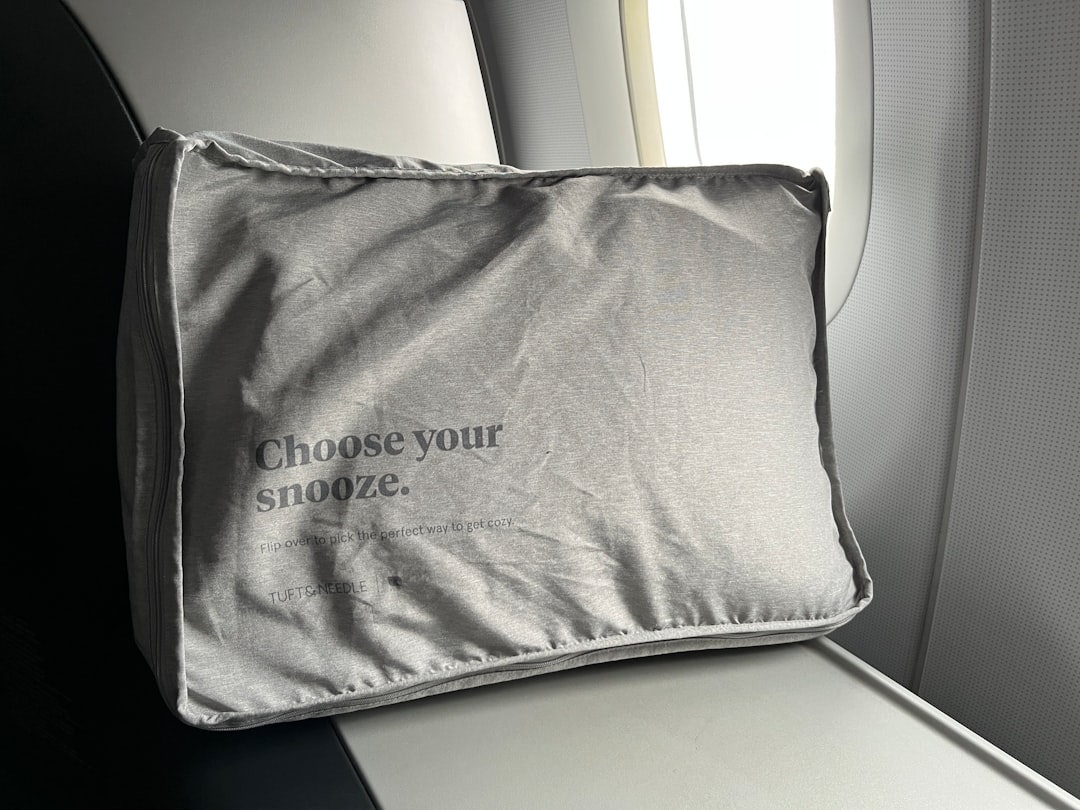 Premium Travel Pillow
